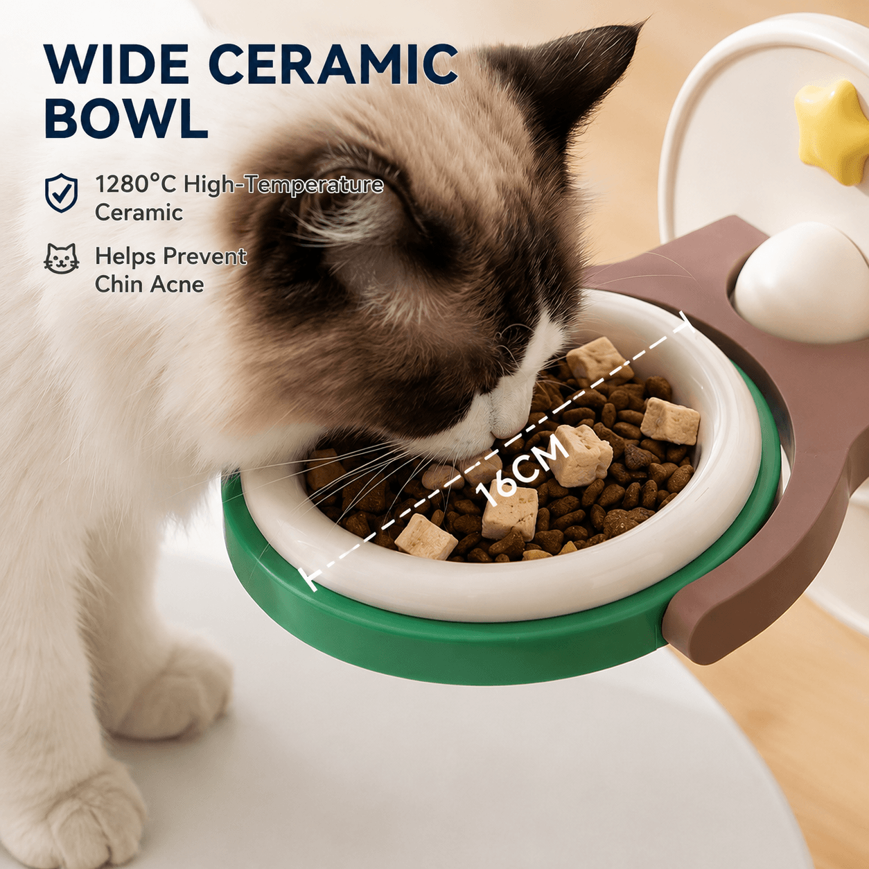 2-in-1 Wall Mounted & Elevated Cat Bowl