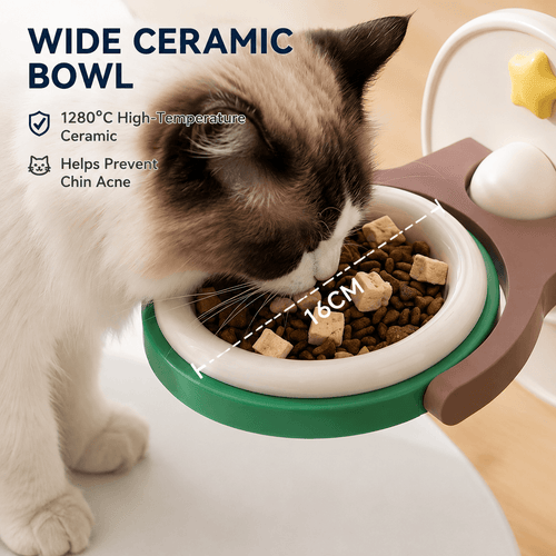 2-in-1 Wall Mounted & Elevated Cat Bowl