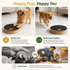 Interactive Dog Nail Scratch Board with Treat Box