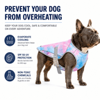 Dog Cooling Vest for Hot Weather – Lightweight Evaporative Cooling & UV Protection Vest