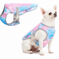 Dog Cooling Vest for Hot Weather – Lightweight Evaporative Cooling & UV Protection Vest