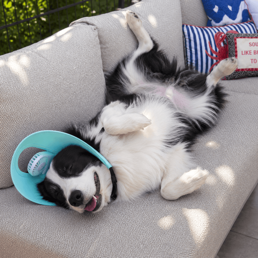 Pet Cooling Fan Hat