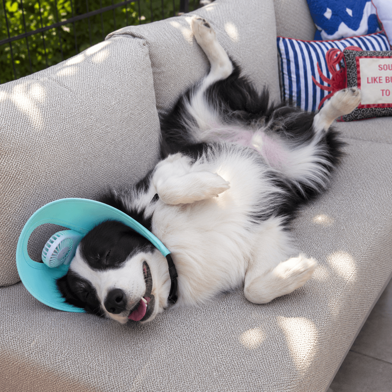 Pet Cooling Fan Hat