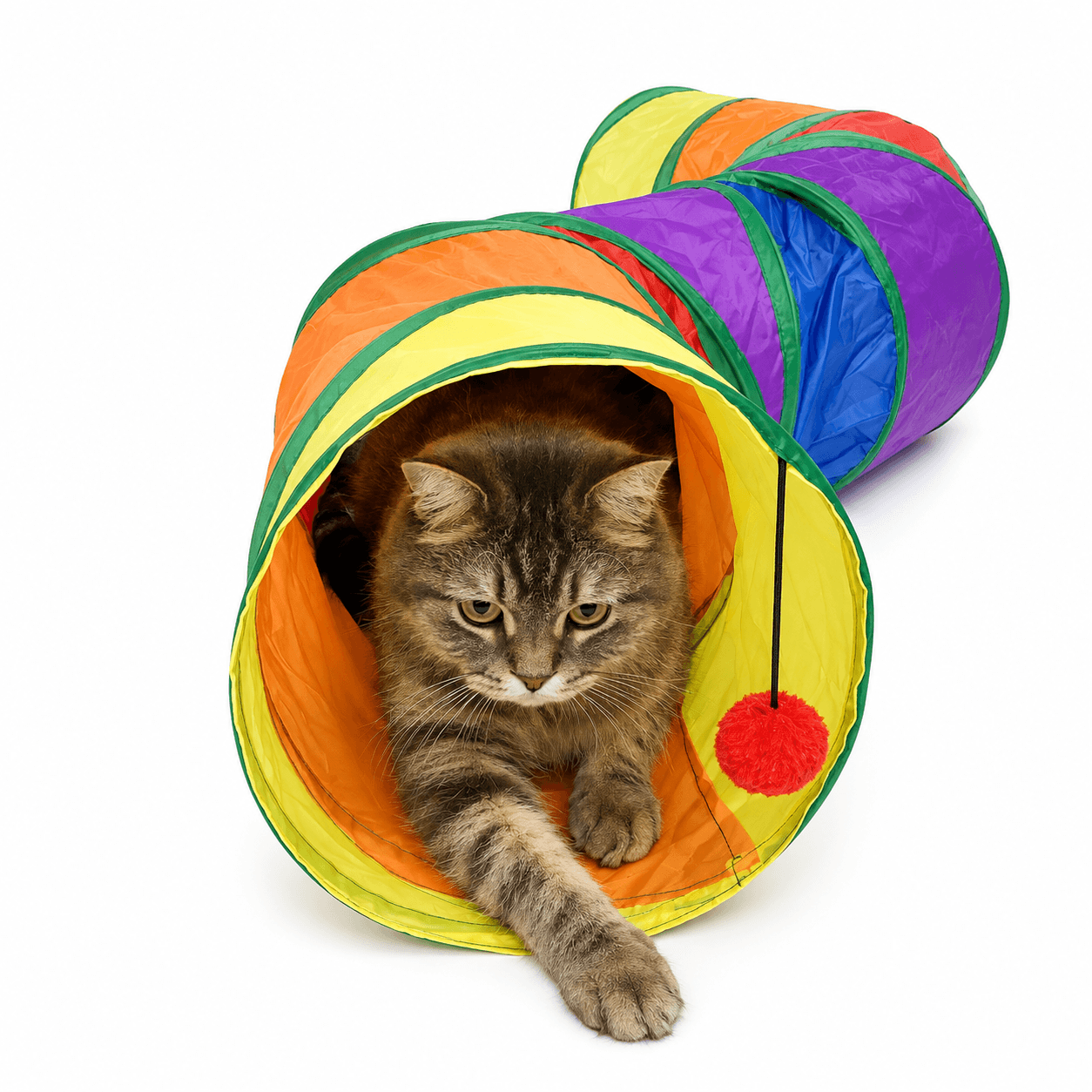 Foldable Cat Tunnel – Interactive Hide & Play Toy