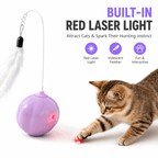 Interactive Feather & Laser Cat Toy – Wobble Teaser with Bell