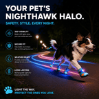 Motion-Activated LED Dog Boots – Breathable Anti-Slip Paw Protection Shoes - 2pcs