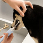 Dog Dental Mouth Opener 2-Pack