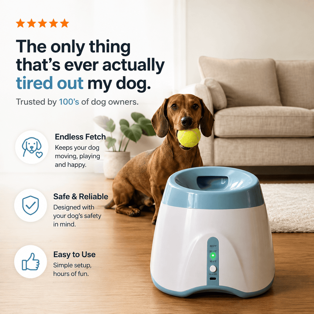 Automatic Dog Ball Launcher with 3 Tennis Balls – Interactive Fetch Toy for Dogs