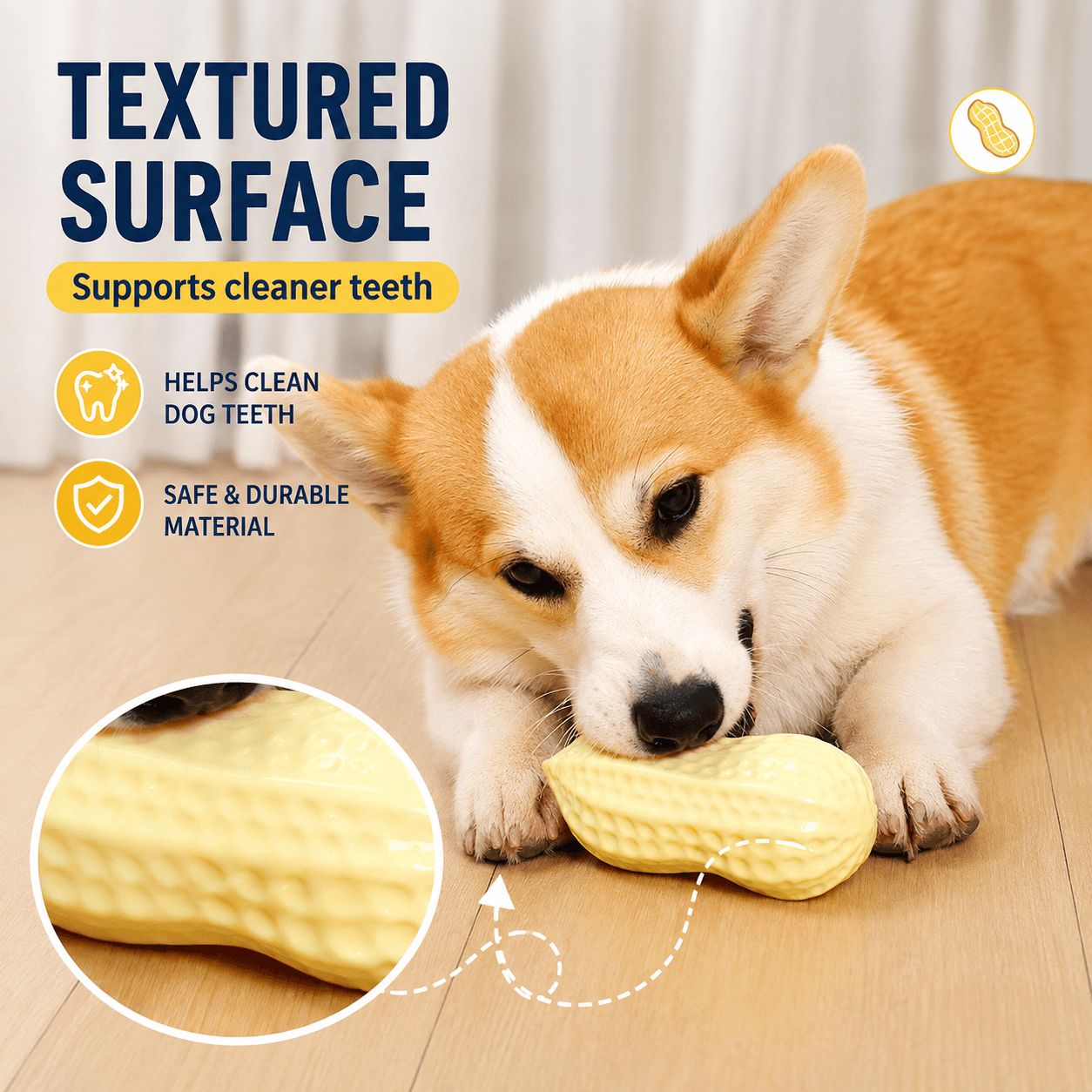 Squeaky Peanut Dog Chew Toy – Textured Dental Toy for Boredom &amp; Interactive Play
