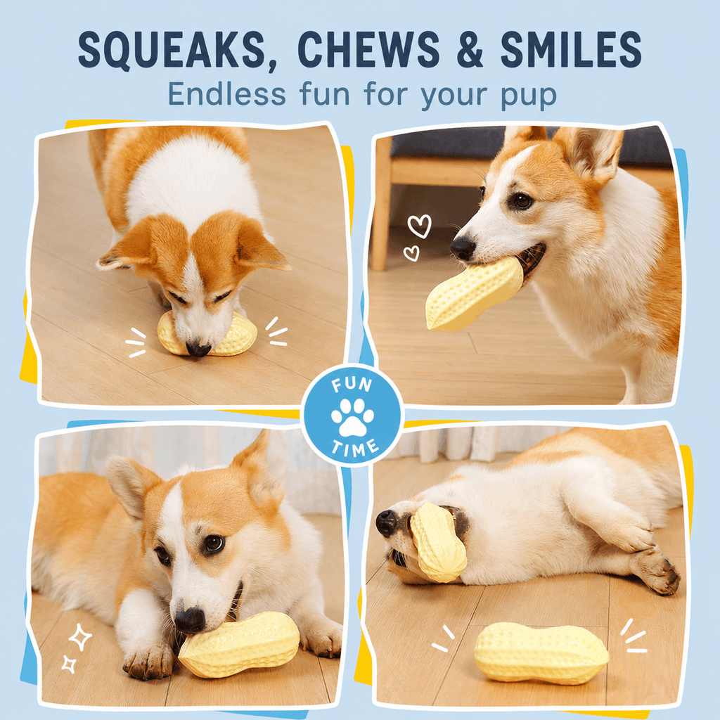 Squeaky Peanut Dog Chew Toy – Textured Dental Toy for Boredom &amp; Interactive Play