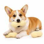 Squeaky Peanut Dog Chew Toy – Textured Dental Toy for Boredom &amp; Interactive Play