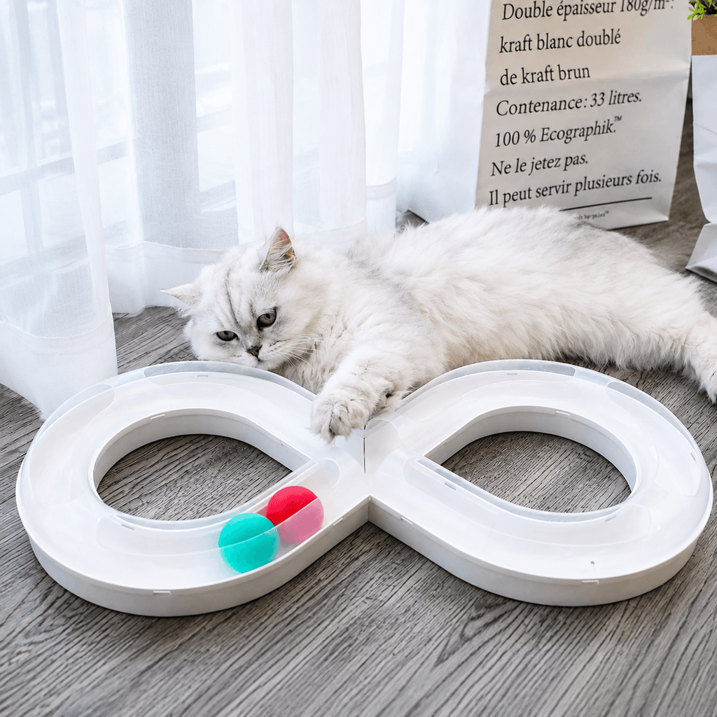 Infinity Cat Track Toy – Interactive Rolling Ball Puzzle for Indoor Cats