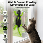 Wall Climbing RC Lizard Toy for Cats