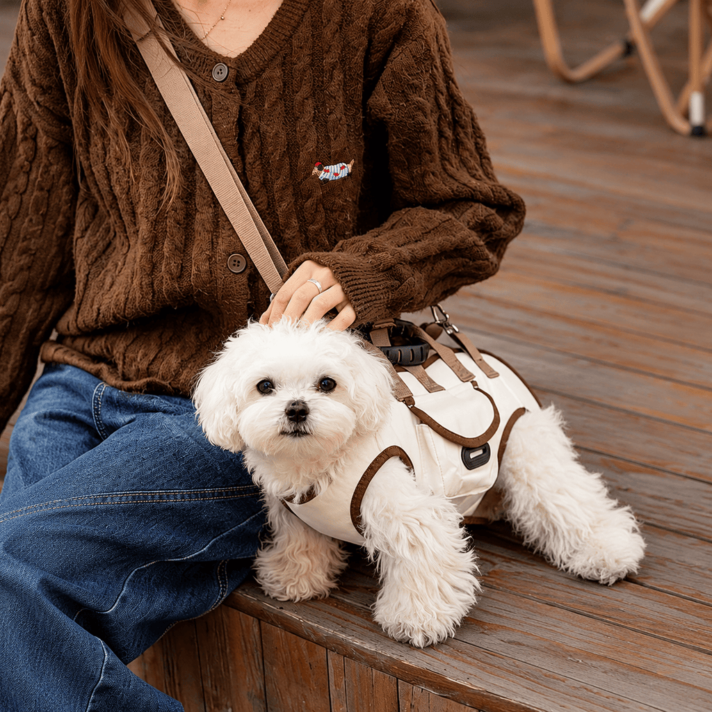 Dog Carrier Harness with Leash