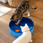 Solar Pet Splash Pool