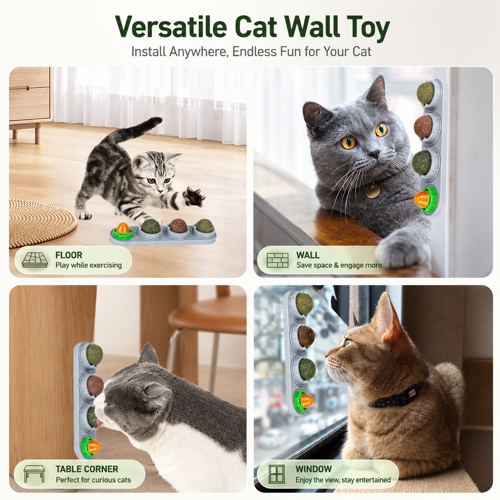 Catnip & Silvervine Cat Toy Balls – 4PCS