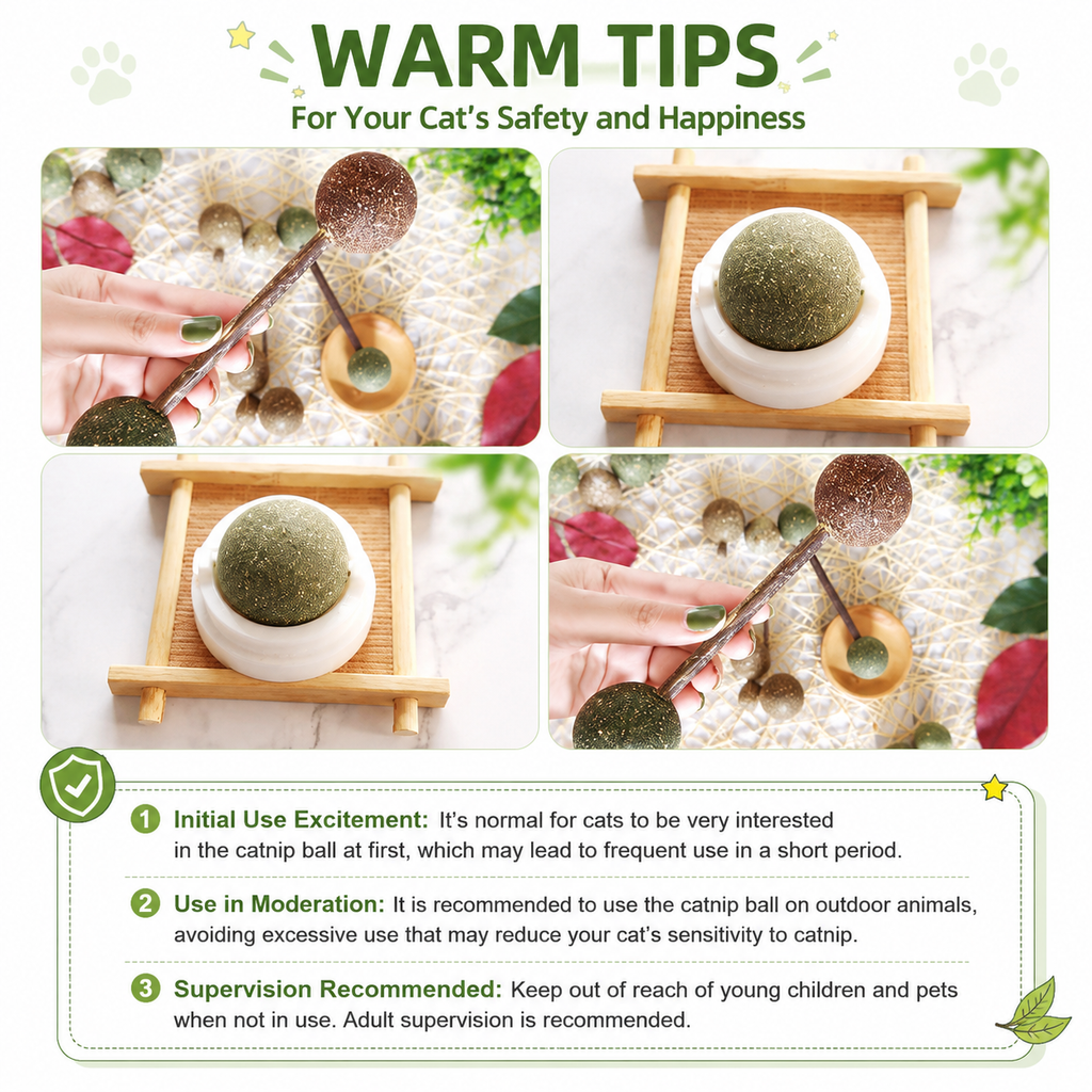 Catnip & Silvervine Cat Toy Balls – 4PCS