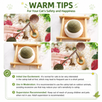 Catnip & Silvervine Cat Toy Balls – 4PCS