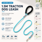 Adjustable No-Pull Dog Harness Set