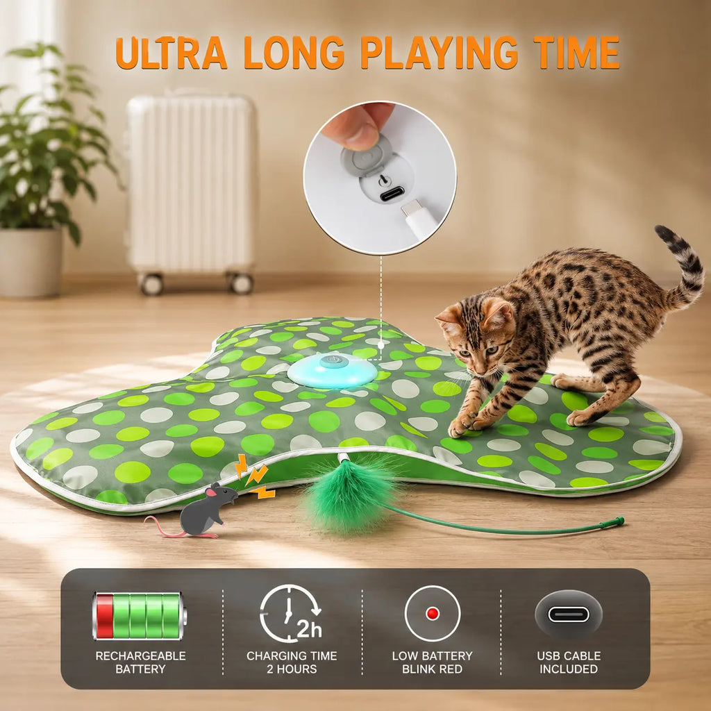 Interactive Hide & Seek Cat Toy with Moving Feather