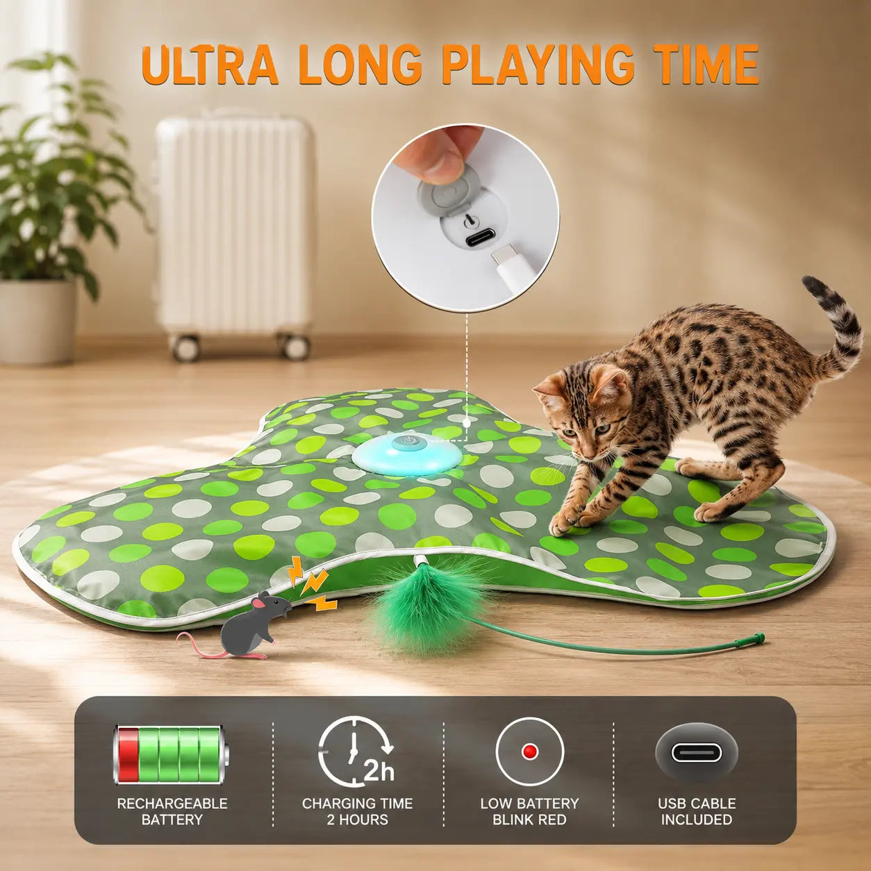 Interactive Hide & Seek Cat Toy with Moving Feather