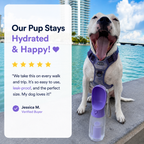 3-in-1 Portable Dog Water Bottle