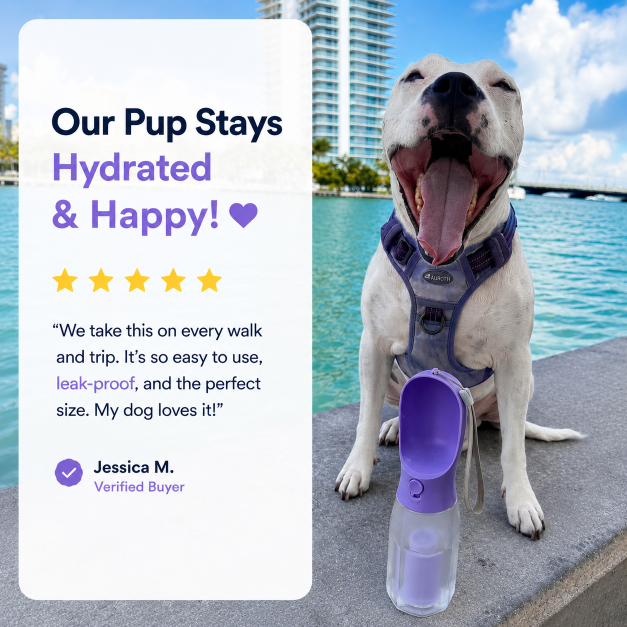 3-in-1 Portable Dog Water Bottle