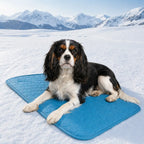 Cooling Mat for Dogs & Cats Fursera
