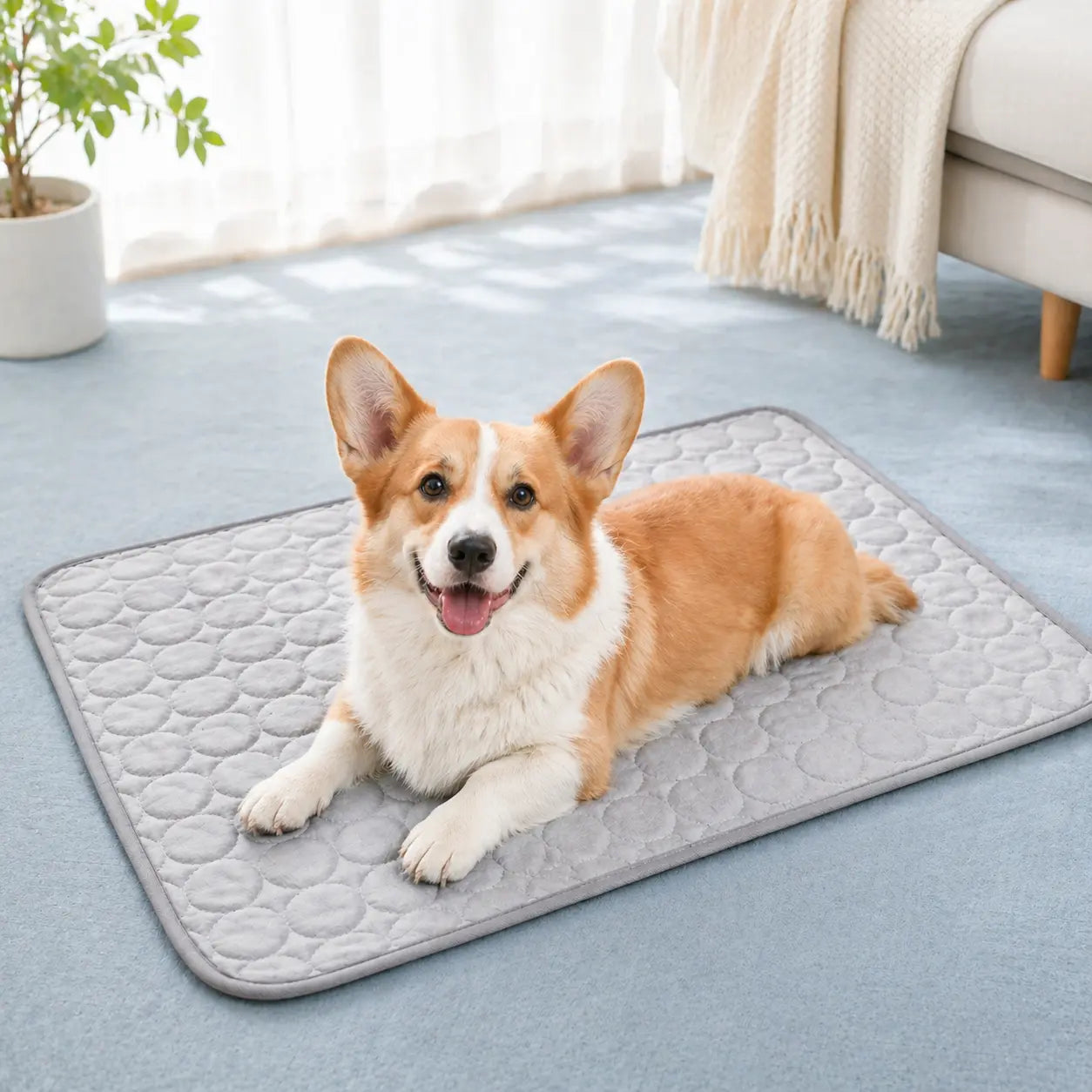 Cooling Mat for Dogs & Cats Fursera