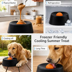 Slow Feeder Dog Bowl – No Spill & Non-Slip STTM