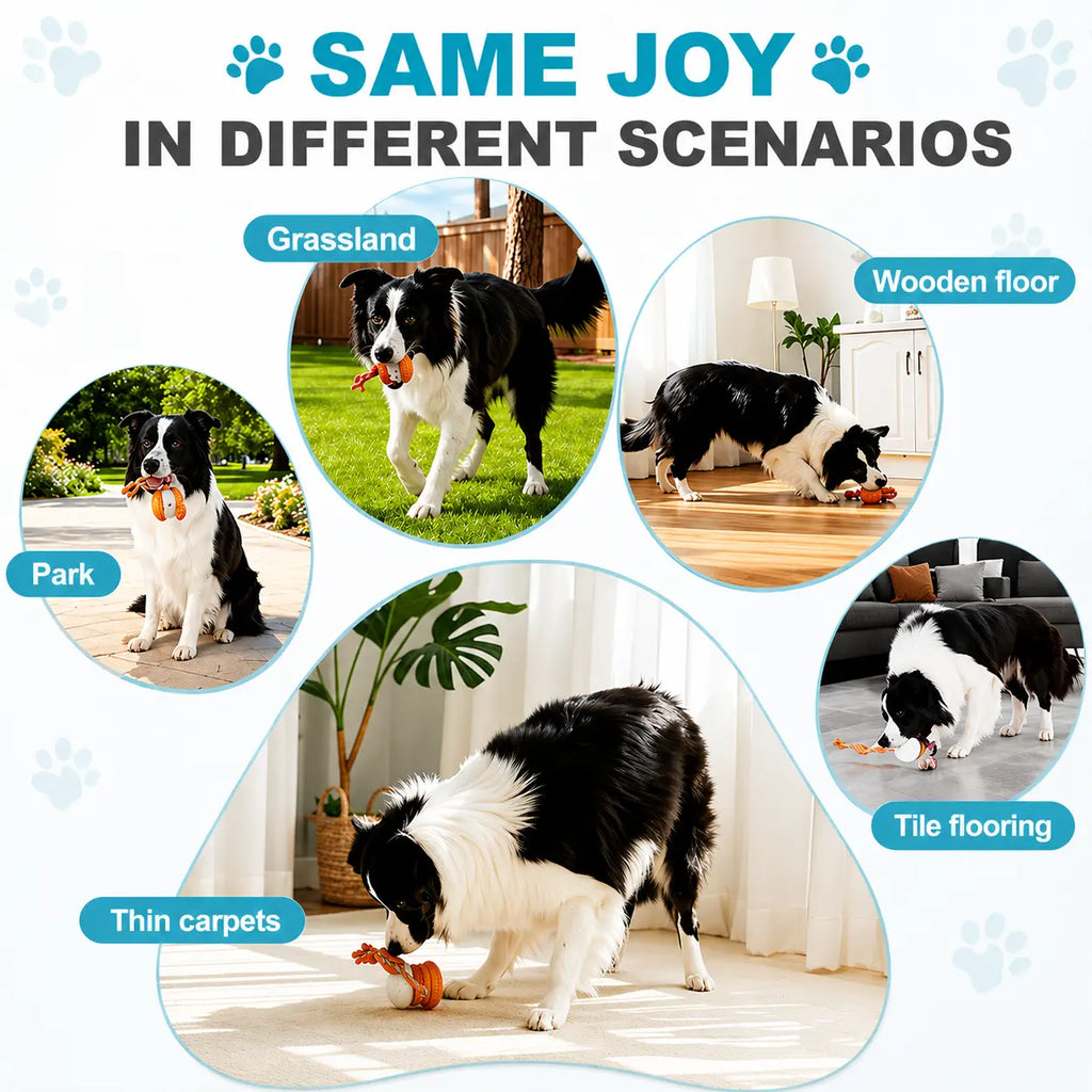 Interactive Dog Toy Ball – Automatic Moving Smart Ball for Dogs Fursera