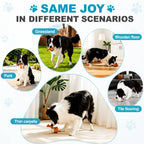Interactive Dog Toy Ball – Automatic Moving Smart Ball for Dogs Fursera