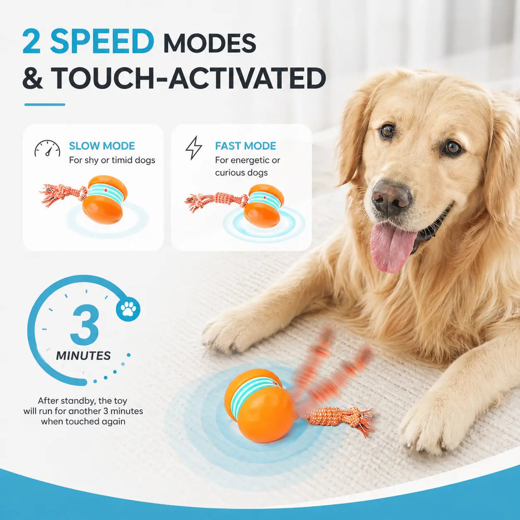 Interactive Dog Toy Ball – Automatic Moving Smart Ball for Dogs Fursera