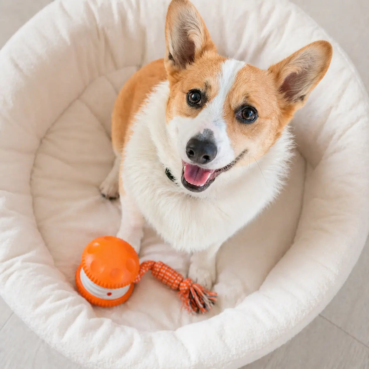 Interactive Dog Toy Ball – Automatic Moving Smart Ball for Dogs Fursera