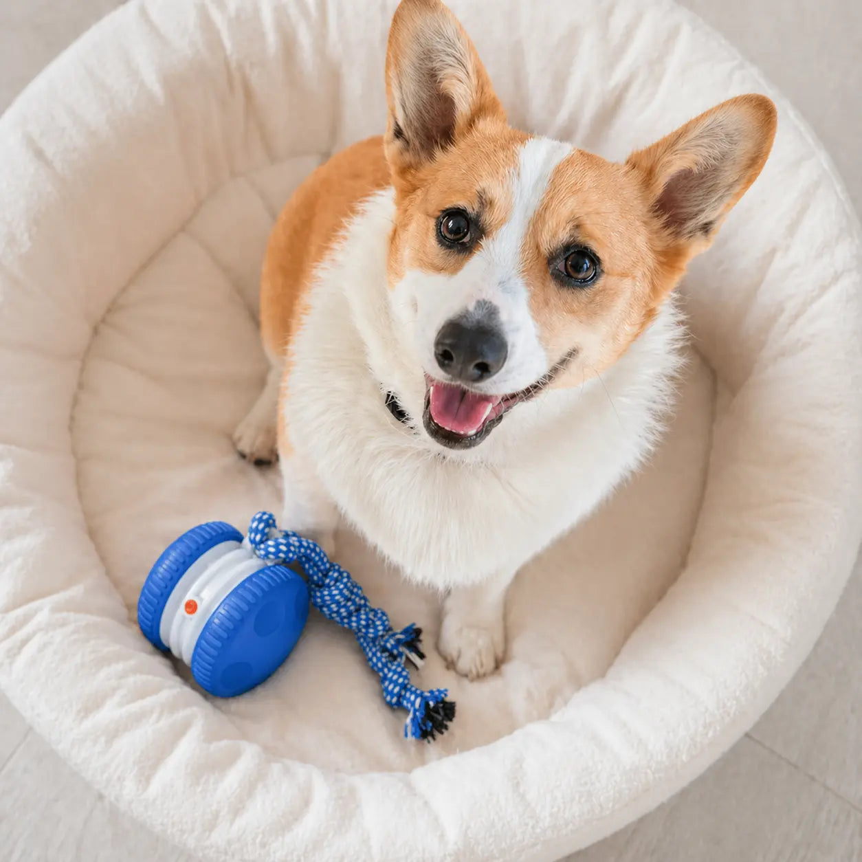 Interactive Dog Toy Ball – Automatic Moving Smart Ball for Dogs Fursera