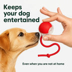 Rolling Fun Ball – Smart Interactive Pet Toy for Dogs & Cats Fursera