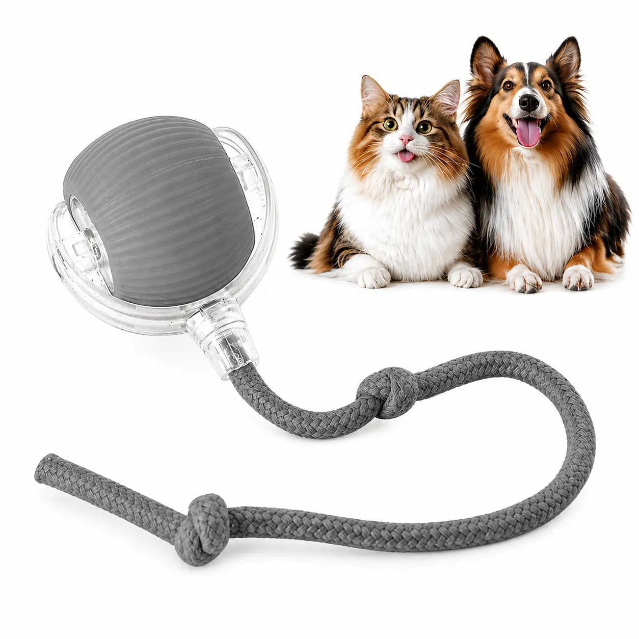 Rolling Fun Ball – Smart Interactive Pet Toy for Dogs & Cats Fursera