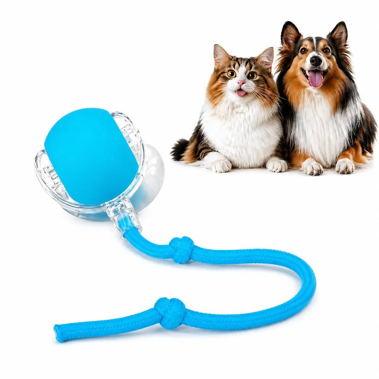 Rolling Fun Ball – Smart Interactive Pet Toy for Dogs & Cats Fursera