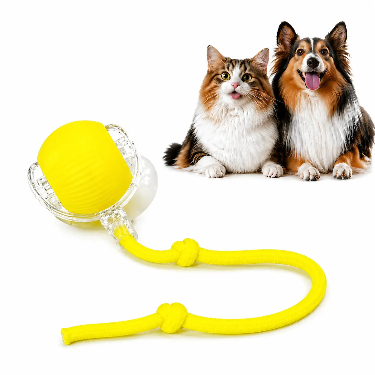 Rolling Fun Ball – Smart Interactive Pet Toy for Dogs & Cats Fursera