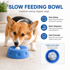 2026 Upgraded Lick & Roll Slow Feeder Bowl