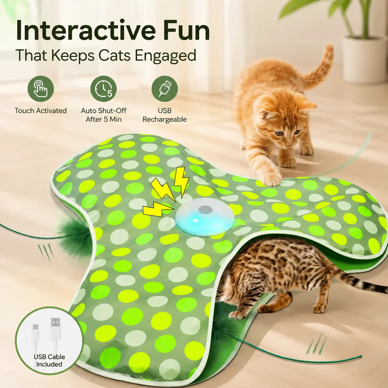 Interactive Hide & Seek Cat Toy with Moving Feather