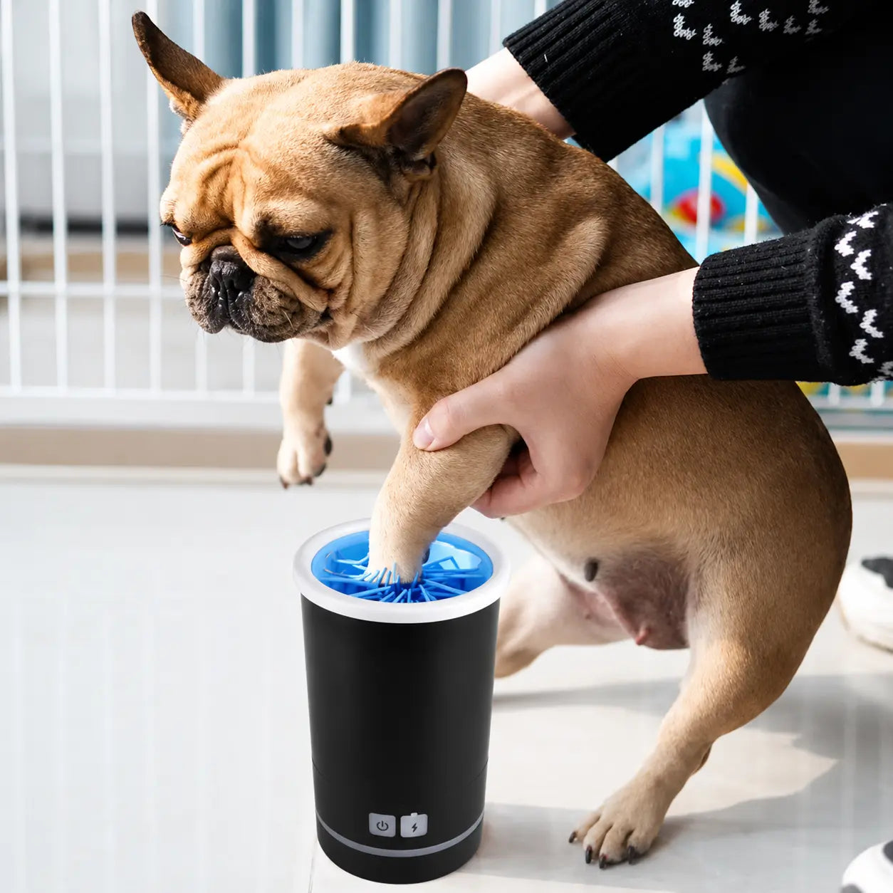 Automatic Paw Washer