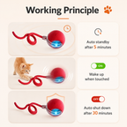 Rolling Fun Ball – Smart Interactive Pet Toy for Dogs & Cats