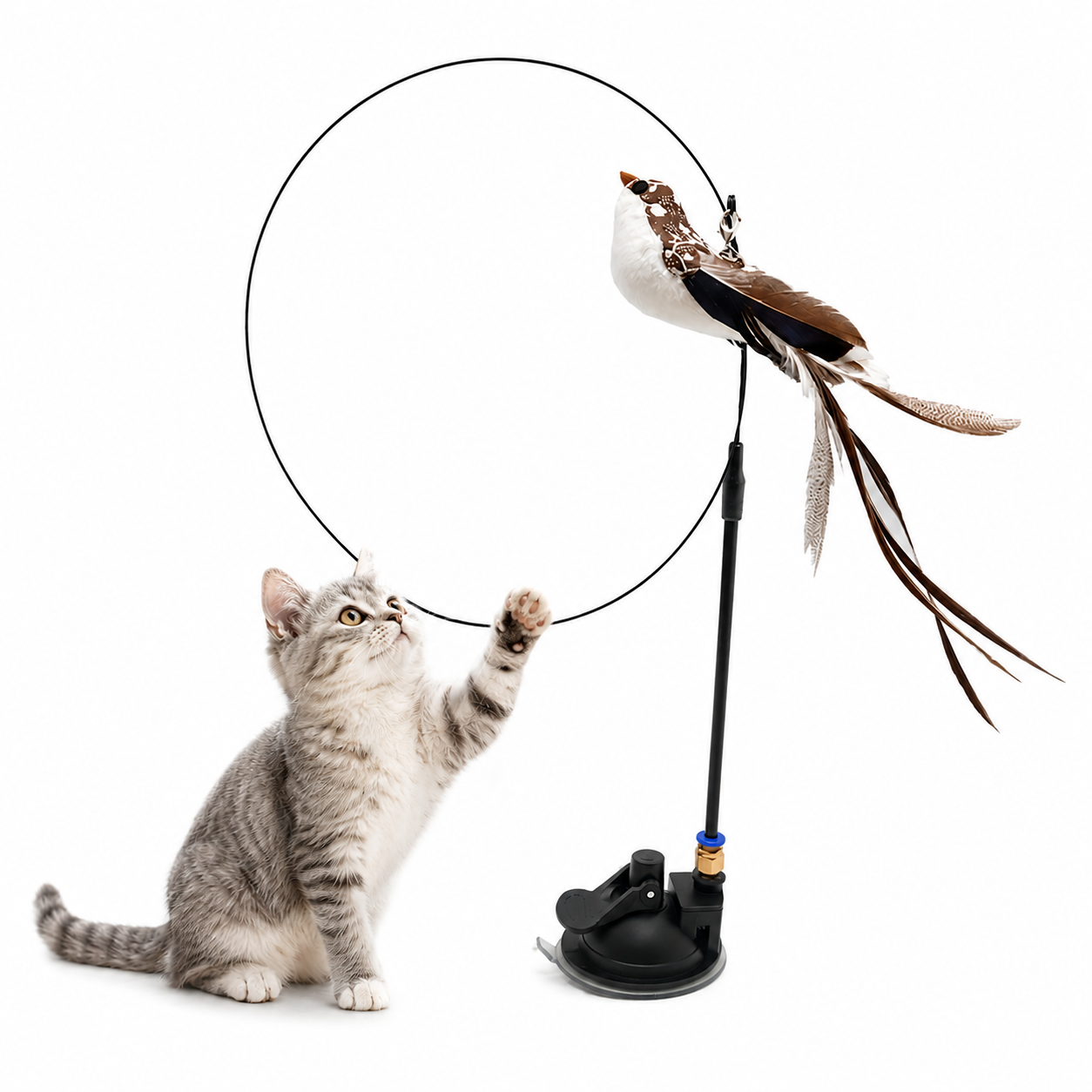 Auto & Manual Cat Wand Toy with Suction Cup