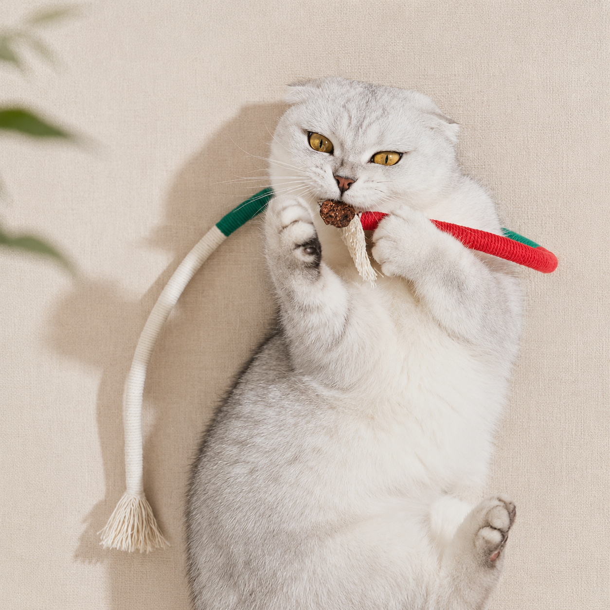 Cat Chew Rope Toys for Teeth Cleaning