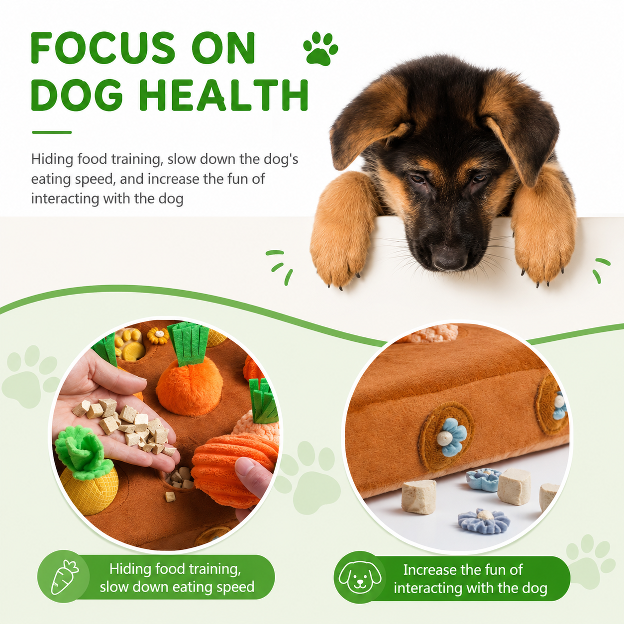 Carrot Garden Interactive Treat-Hiding Toy for Dogs