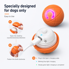 Interactive Pet Toy Ball – Smart Self-Moving