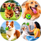 Giggle Ball Dog Toy – Interactive Wobble Ball