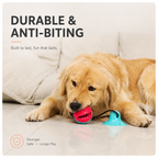 Dog Chew Toy for Aggressive Chewers