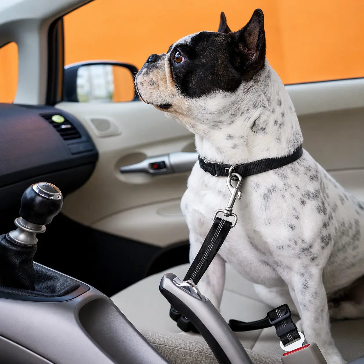 Dog Seat Belt – Shockproof Adjustable Car Safety Leash Fursera
